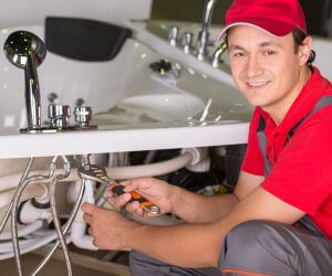 About Plumbers Pros Sodus, NY